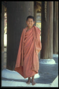 020070 Young Burmese Monk, Shiwezigon Pagoda A4 Photo Print