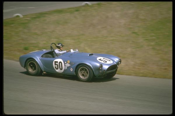 021096 Blue Cobra 427, Right Side A4 Photo Print