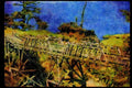 022007 Old Wooden Pier Bridge With Gulls A4 Limited Edition Watercolour Print