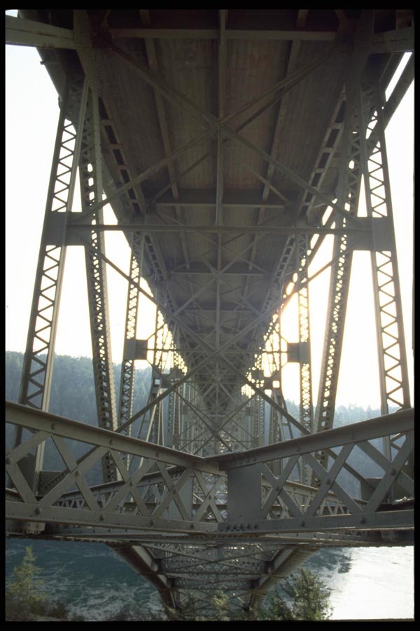 022030 Birders Below Bridge Span A4 Photo Print
