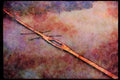 022037 Concrete Floating Bridge, Overhead A4 Limited Edition Watercolour Print
