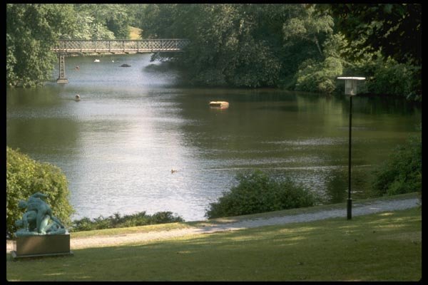 022048 Lattice Bridge In Park A4 Photo Print
