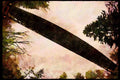 022054 Bridge And Trees Silhouetted From Below A4 Limited Edition Watercolour Print