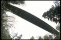 022054 Bridge And Trees Silhouetted From Below A4 Photo Print