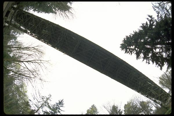 022054 Bridge And Trees Silhouetted From Below A4 Photo Print
