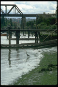 022065 End Of Trussed Railroad Bridge And Heron A4 Photo Print