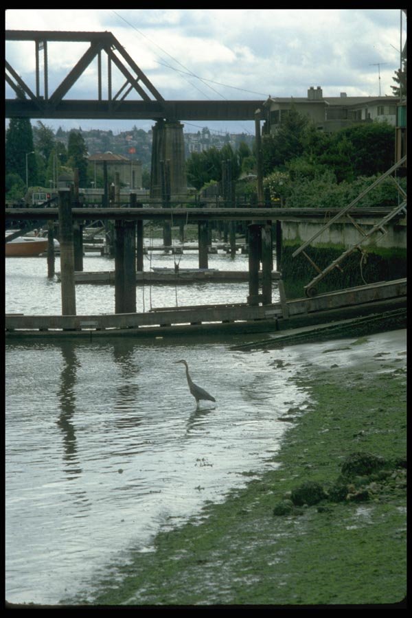 022065 End Of Trussed Railroad Bridge And Heron A4 Photo Print