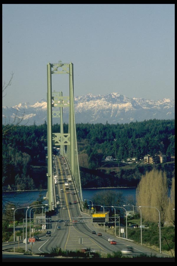 022069 Green Suspension Bridge At Entrance A4 Photo Print