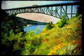 022076 Steel Arched Bridge, Wildflowers On Bank A4 Limited Edition Watercolour Print