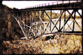 022095 Bridge Girders, Yellow Wildflowers A4 Limited Edition Watercolour Print