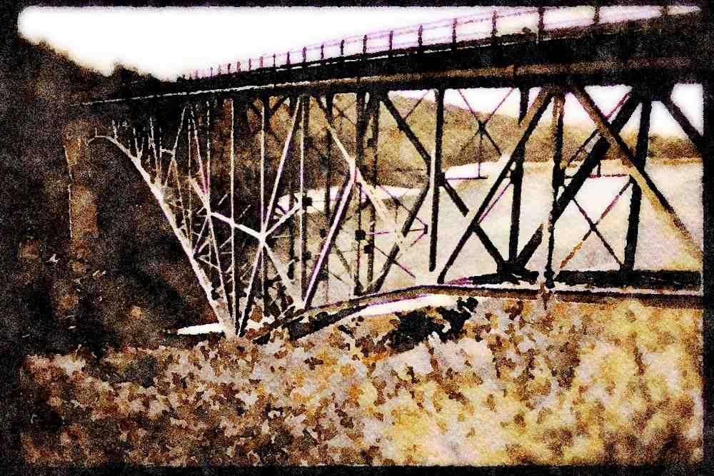 022095 Bridge Girders, Yellow Wildflowers A4 Limited Edition Watercolour Print