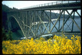 022095 Bridge Girders, Yellow Wildflowers A4 Photo Print