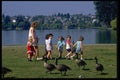 023008 Daycare Outing And Geese A4 Photo Print