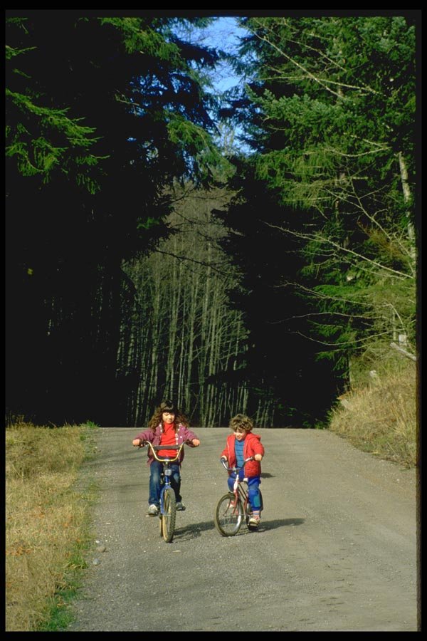 023023 Children Cycling In Forest A4 Photo Print