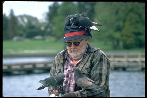 023041 Old Man With Pigeons A4 Photo Print