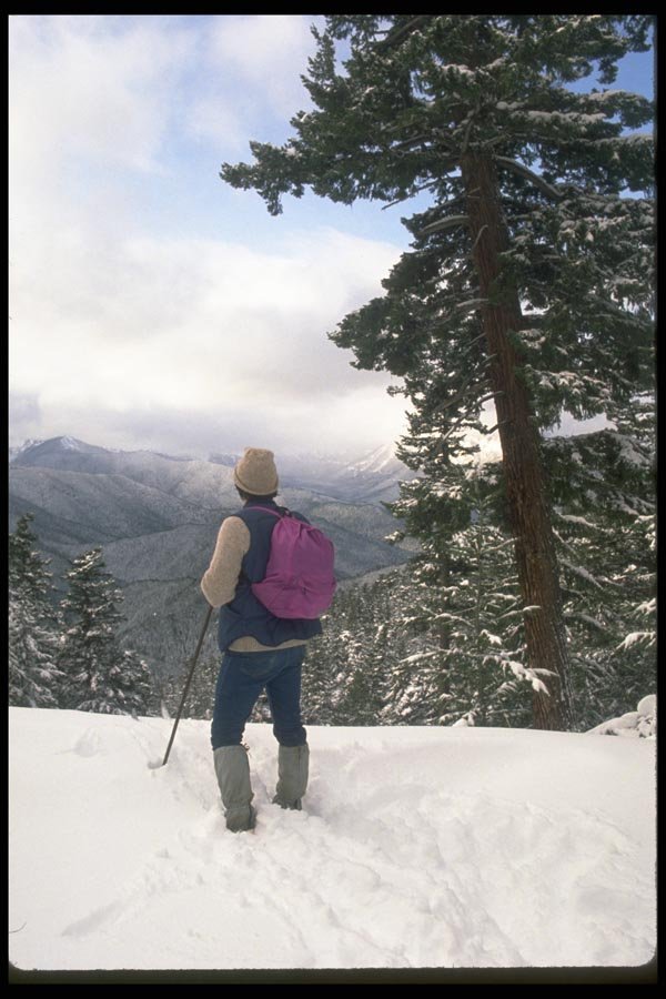 023045 Skier Looking Over Valley A4 Photo Print