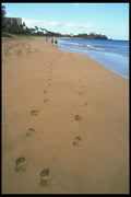 023055 Footprints In Beach Sand A4 Photo Print