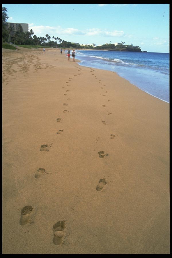 023055 Footprints In Beach Sand A4 Photo Print