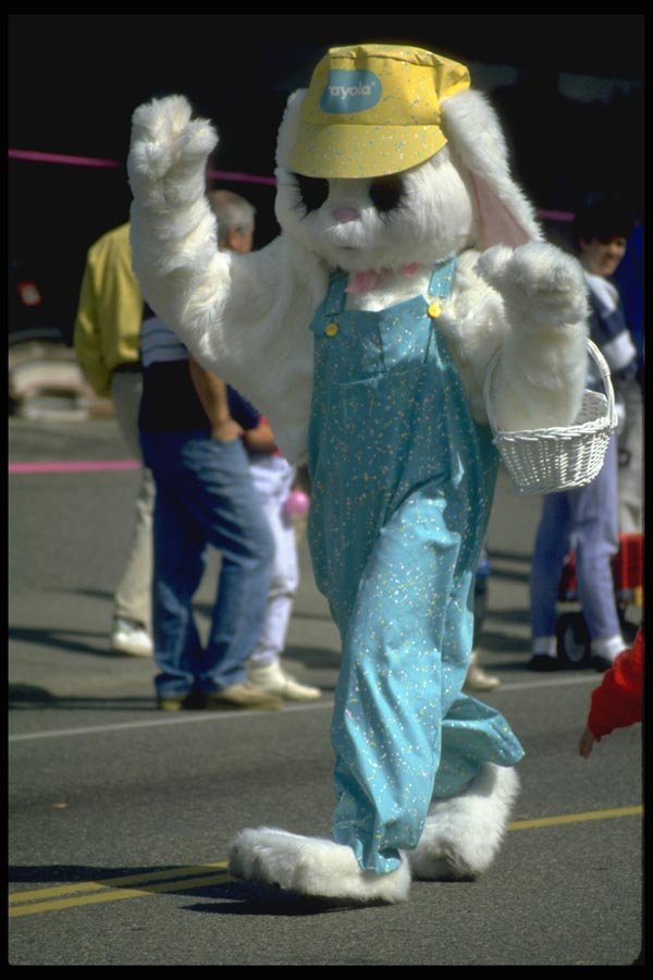 023059 Rabbit Costume A4 Photo Print