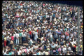 023062 Throngs Of People A4 Photo Print
