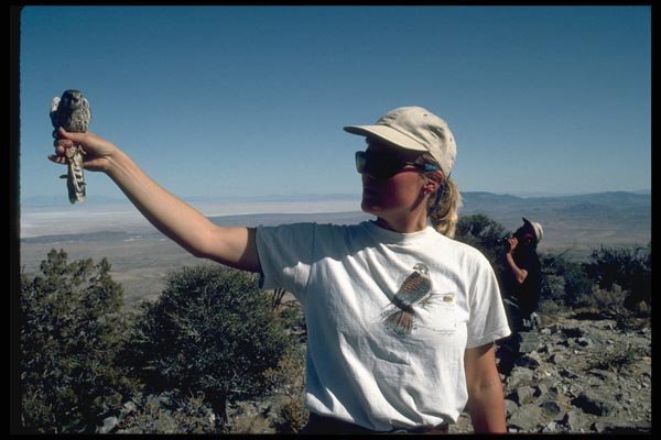 023065 Girl Releasing Falcon A4 Photo Print