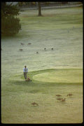 023068 Man Mowing Golf Course A4 Photo Print