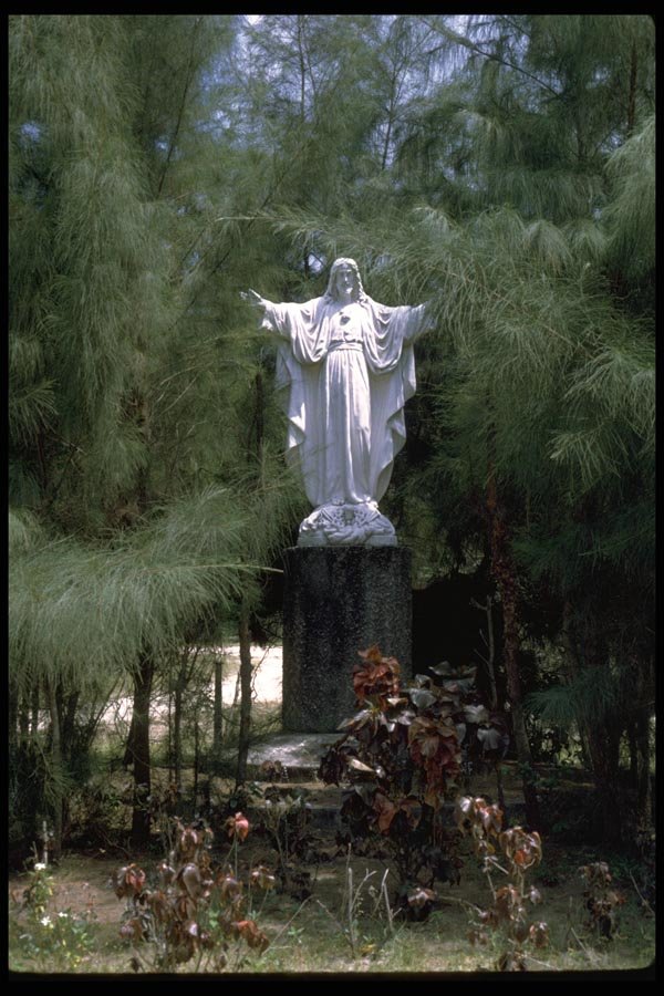 024035 White Statue Of Christ In Garden A4 Photo Print