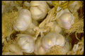 025003 Braid Of Garlic A4 Photo Print