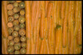 025006 Carrot Display A4 Photo Print