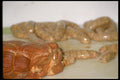 025008 Uncooked Roast And Sausages A4 Photo Print