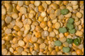 025009 Dried Beans And Split Peas A4 Photo Print