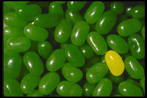 025011 Green Jelly Beans A4 Photo Print