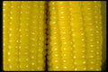025015 Corn On The Cob Close Up  A4 Photo Print