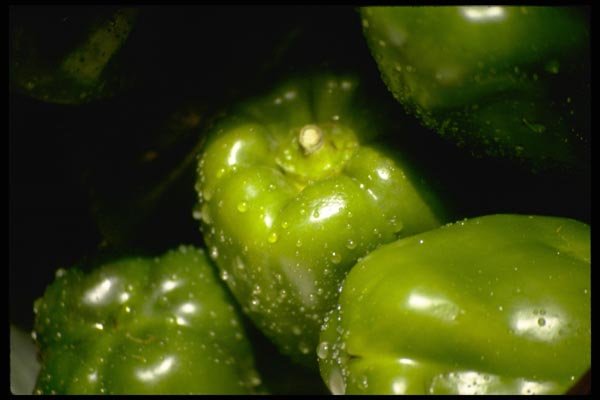 025017 Green Peppers A4 Photo Print