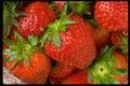 025025 Strawberries A4 Photo Print
