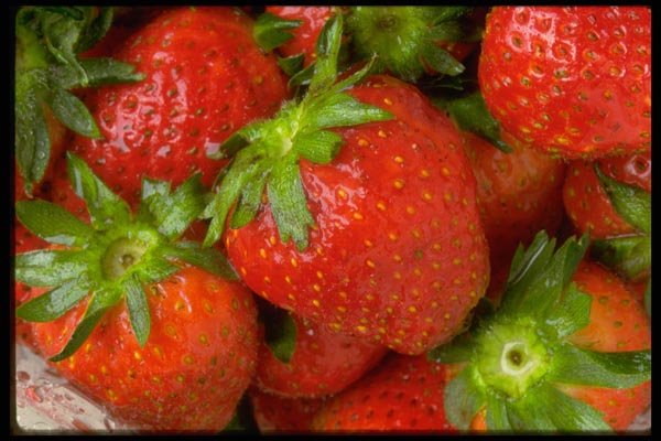 025025 Strawberries A4 Photo Print