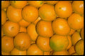 025032 Oranges A4 Photo Print