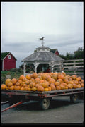 025035 Pumpkins On Wagon A4 Photo Print