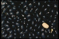 025042 Black Beans A4 Photo Print