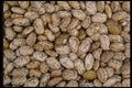 025044 Speckled Dried Beans A4 Photo Print
