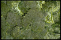 025047 Broccoli A4 Photo Print