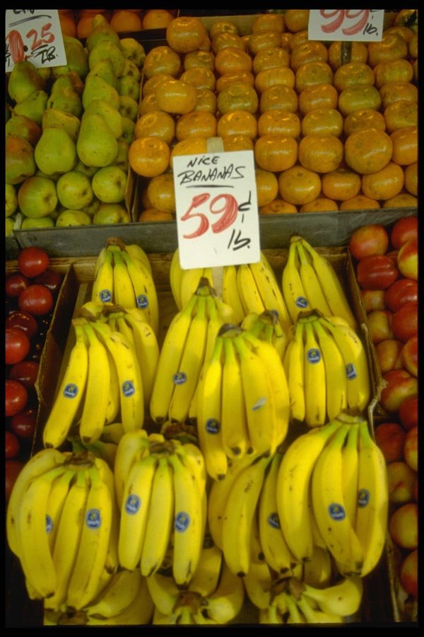 025055 Bananas In Display A4 Photo Print