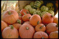 025056 Squash A4 Photo Print