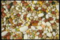 025057 Mixed Dried Beans A4 Photo Print