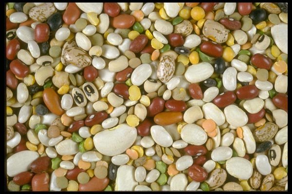 025057 Mixed Dried Beans A4 Photo Print