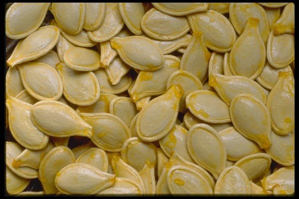 025068 Pumpkin Seeds A4 Photo Print