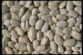 025073 White Dried Beans A4 Photo Print