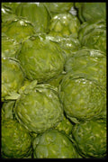 025075 Artichokes A4 Photo Print