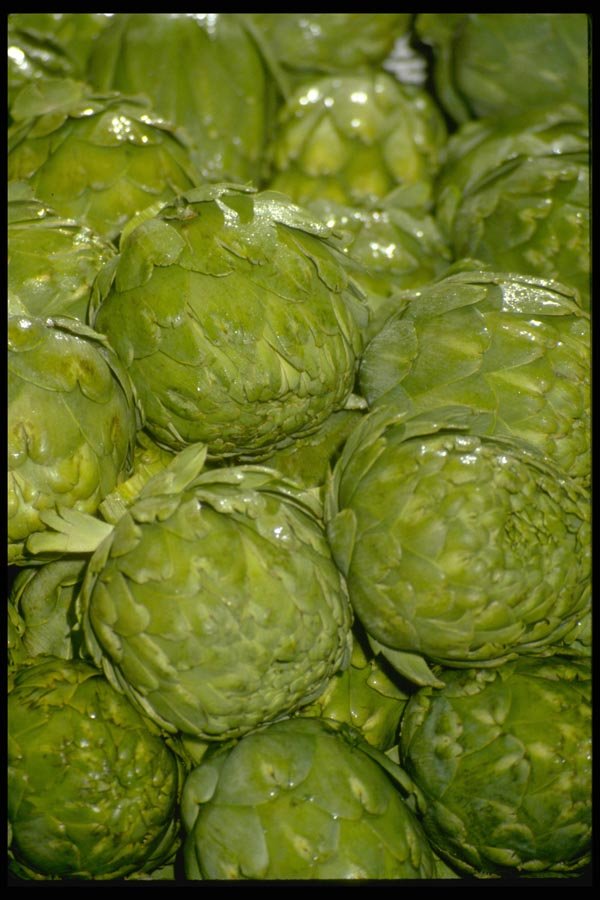 025075 Artichokes A4 Photo Print