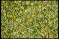 025087 Dried Soup Mix A4 Photo Print